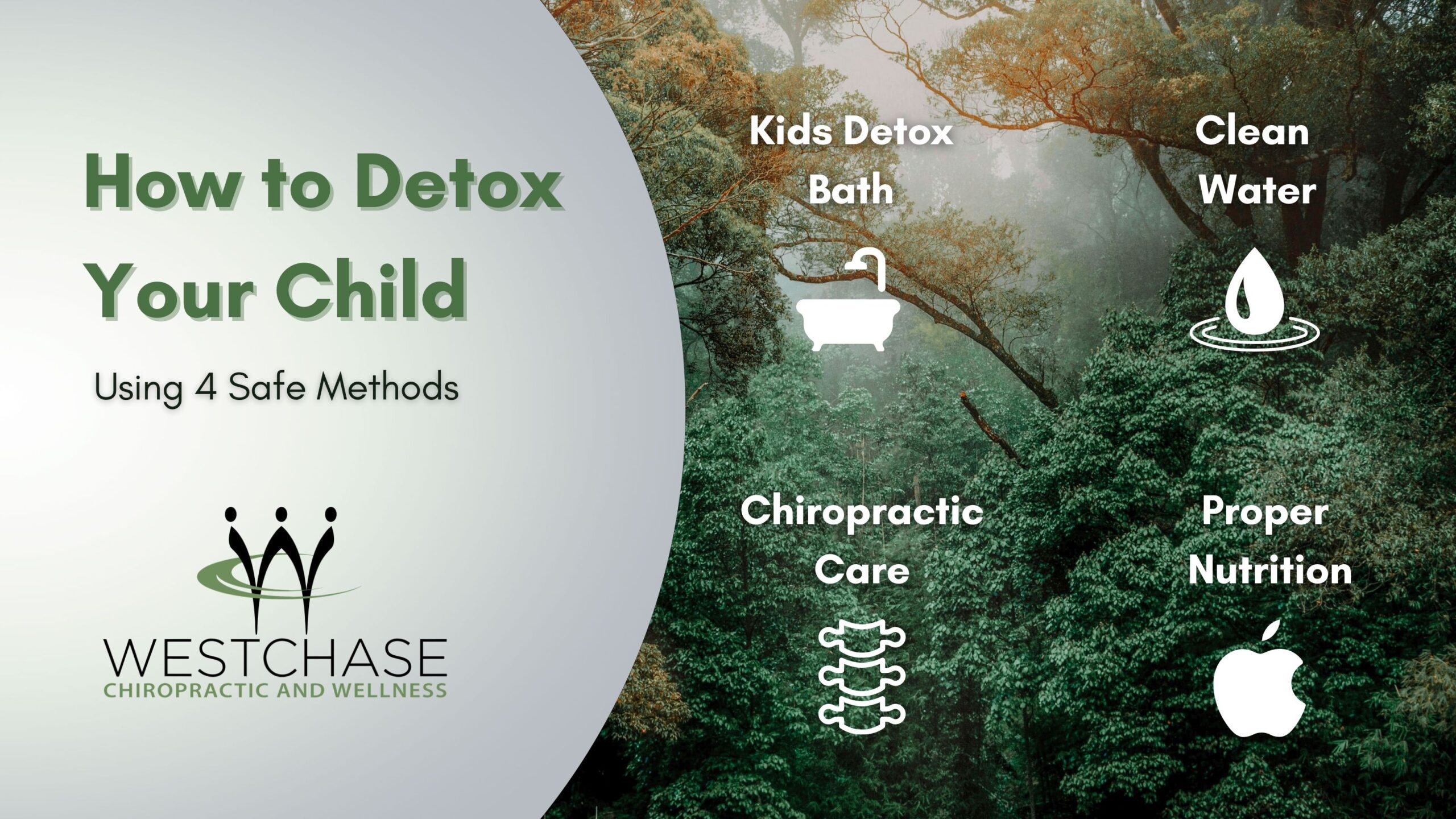 infographic of how to detox your child using 4 safe methods